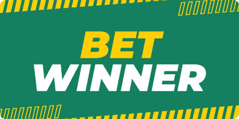 Explore Your Options with BetWinner Support Explore Your Options with BetWinner Support