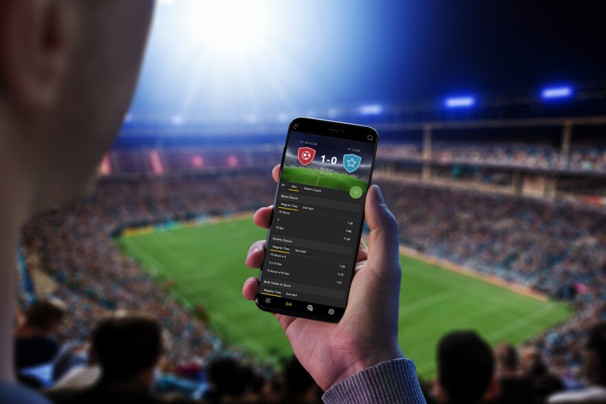 The Top Online Sports Betting Platforms 8 The Top Online Sports Betting Platforms 8